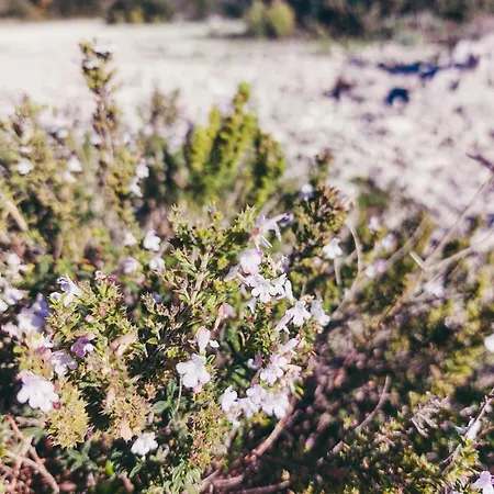 Mobile Homes Laguna, Porat, בית נופש דראגה